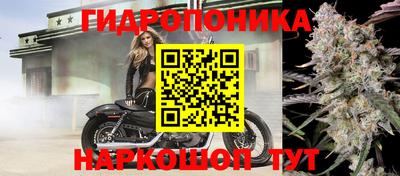 тгк Будённовск