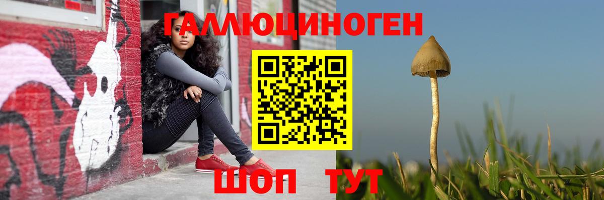 Галлюциногенные грибы мухоморы  Галлюциногенные грибы Psilocybine cubensis  Феодосия  цены наркотик  Вход с VPN 